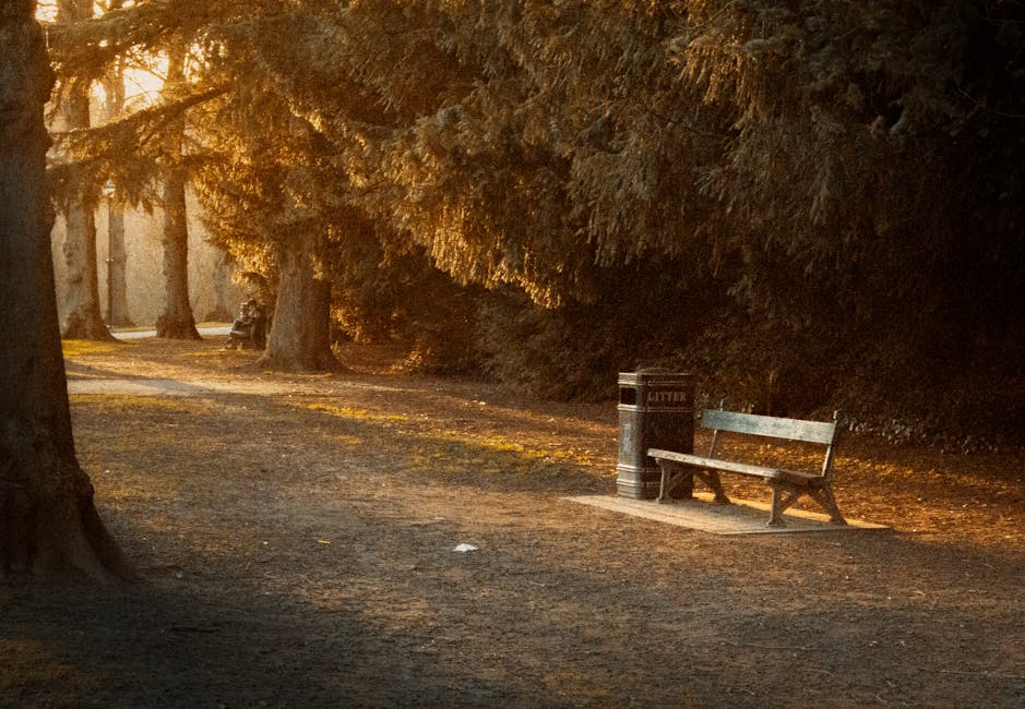 A quiet park pathway in the late afternoon or early evening illuminated by warm, golden light filtering through the branches of large, mature trees with thick trunks and dark green foliage. The ground is covered with a layer of gravel and dirt, with patches of sunlight creating dappled patterns. On the right side of the image, there is a weathered wooden park bench with a metal frame, positioned on a small concrete pad. Nearby, a black cylindrical litter bin with a metal lid labeled 'LITTER' is placed next to the bench. In the background, additional trees and shaded areas extend along the pathway, which curves gently out of view. The scene exudes a peaceful, natural atmosphere, subtly reflecting the context of outdoor waste disposal options, such as on-site litter collection, within a public park environment. The overall composition emphasizes a tidy, well-maintained outdoor space suitable for casual visits or relaxation.